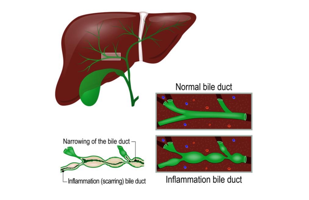 Image Credit: Designua/Shutterstock