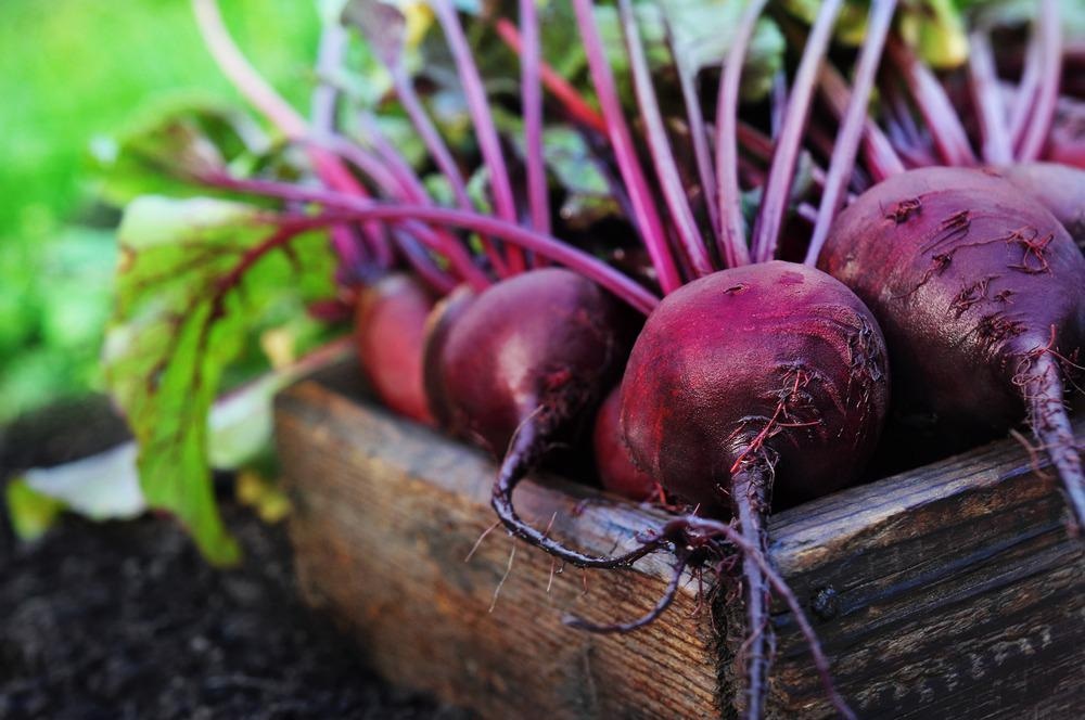 Beetroots