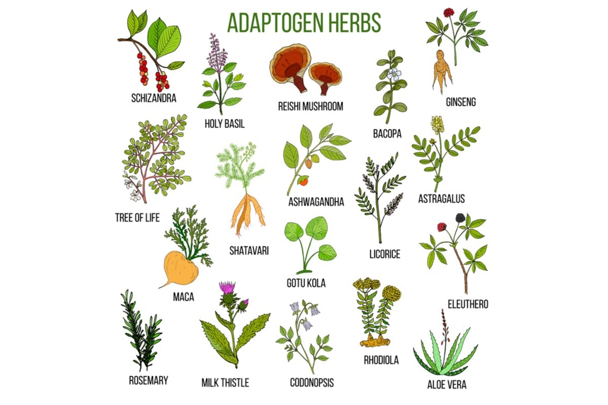 Image: Foxyliam/Shutterstock