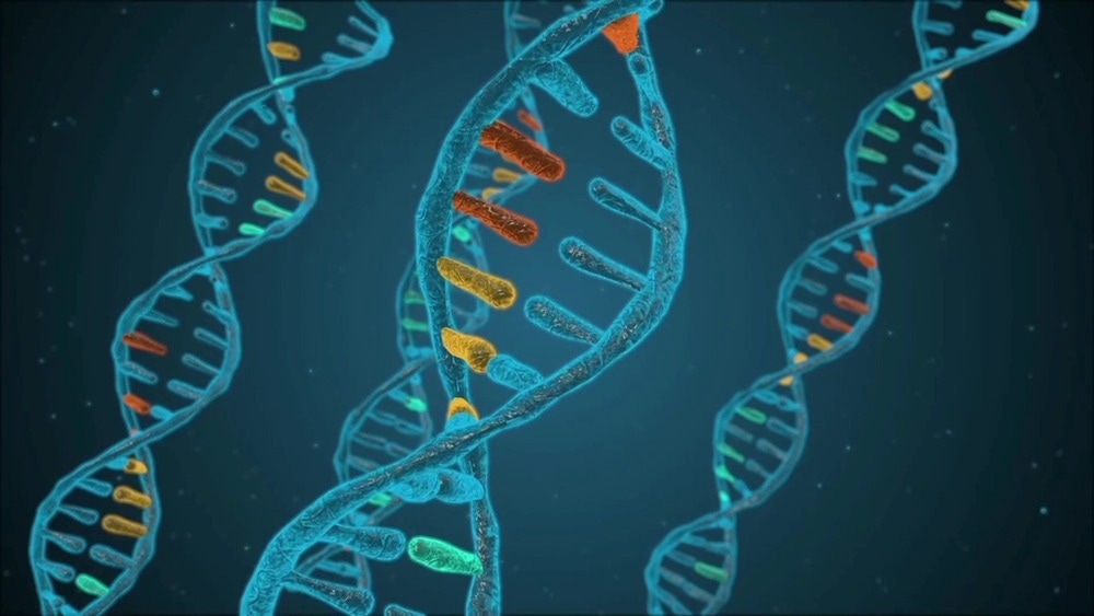 Image Credit: aycan balta/Shutterstock.com