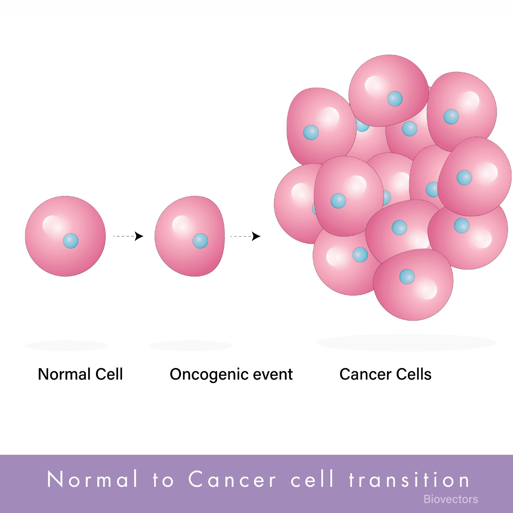 Mechanism of formation cancer cells. Image Credit: Art of Science/Shutterstock.com