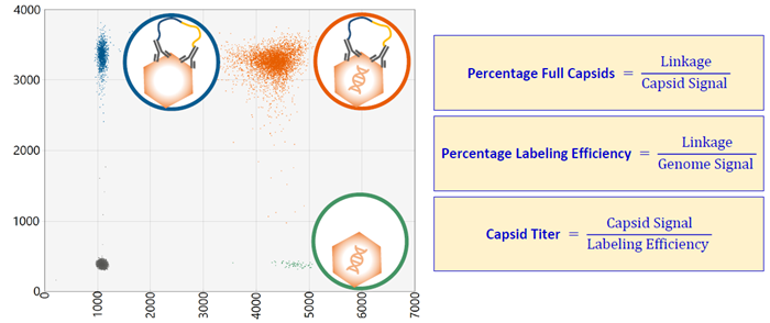 Measuring AAV capsids using VeriCheck ddPCR technoloy: A guide