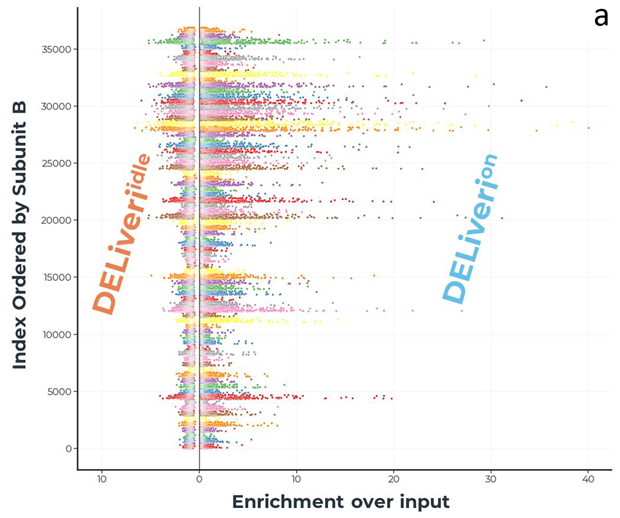 DELiveri®: A high-throughput, hypothesis-free screening platform for identifying novel delivery molecules for RNA therapeutics