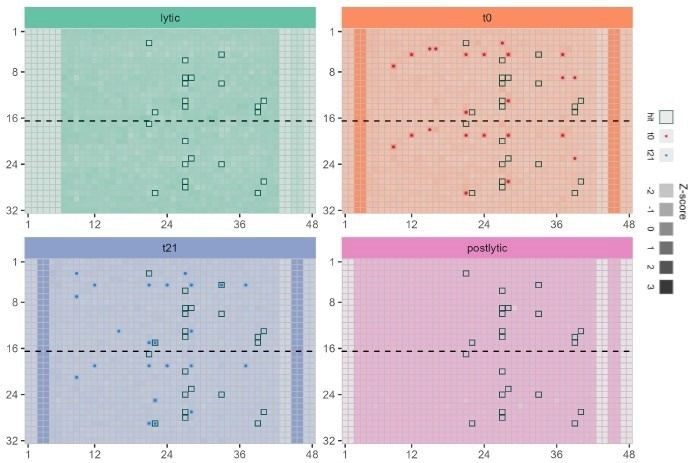 Application of multiplexed bioluminescent assay in 1536 well plate to monitor protein degradation (red) compound toxicity immediately after adding to cells (blue) and compound toxicity after incubation with cells for 21 h ..(green) and monitoring the uniformity of cell lysis in all wells (purple)