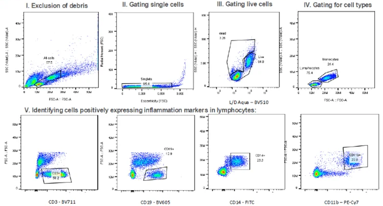 Image-enabled cell sorting for cellular drug response detection: A machine learning platform for indication discovery