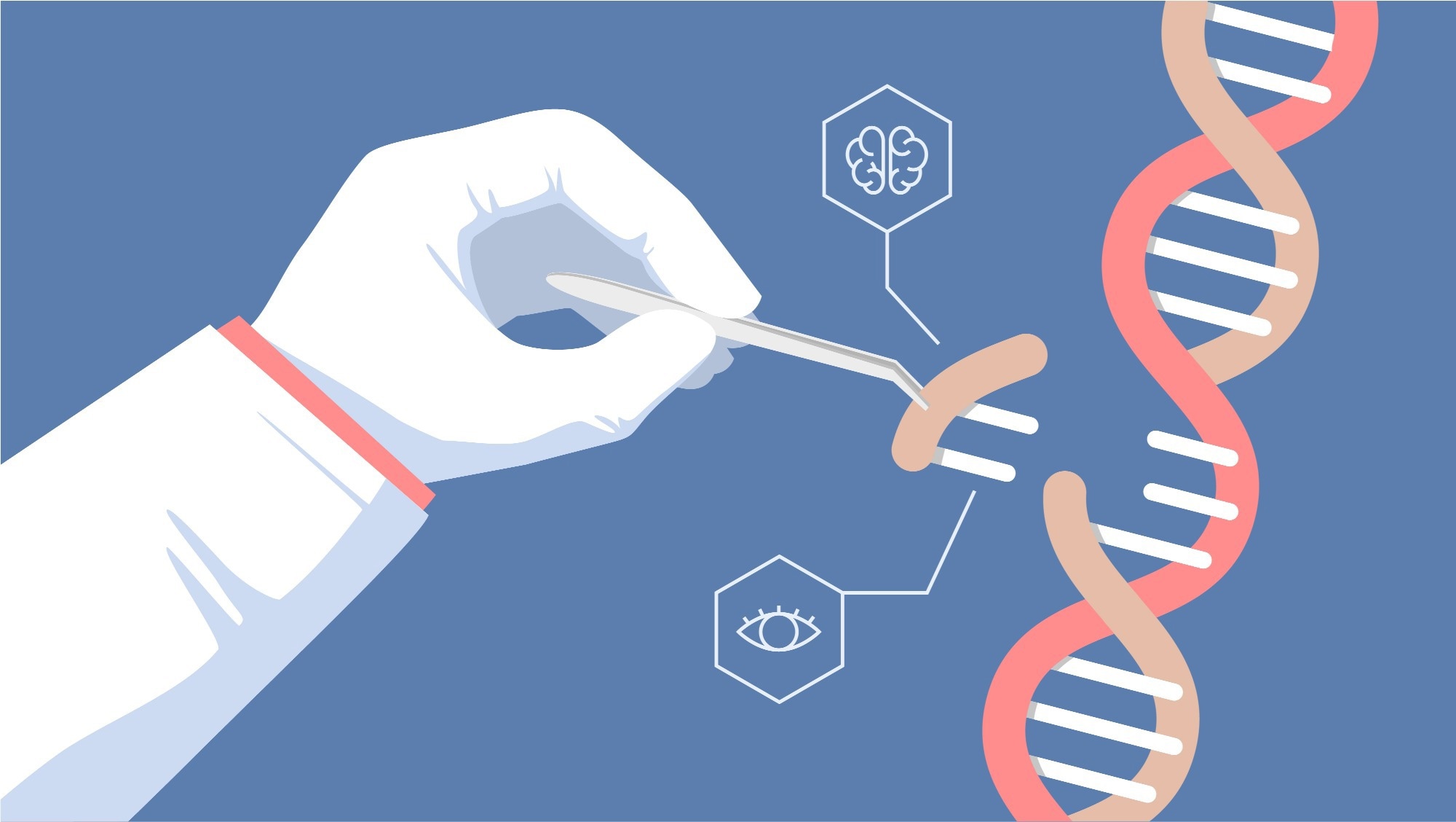 An illustration of a gloved hand holding tweezers, editing a DNA strand by replacing a segment. The DNA double helix is depicted in red and beige with white base pairs. Two hexagonal icons, one with a brain and another with an eye, suggest genetic modifications related to neurology and vision. The background is solid blue, emphasizing the concept of gene editing or CRISPR technology.