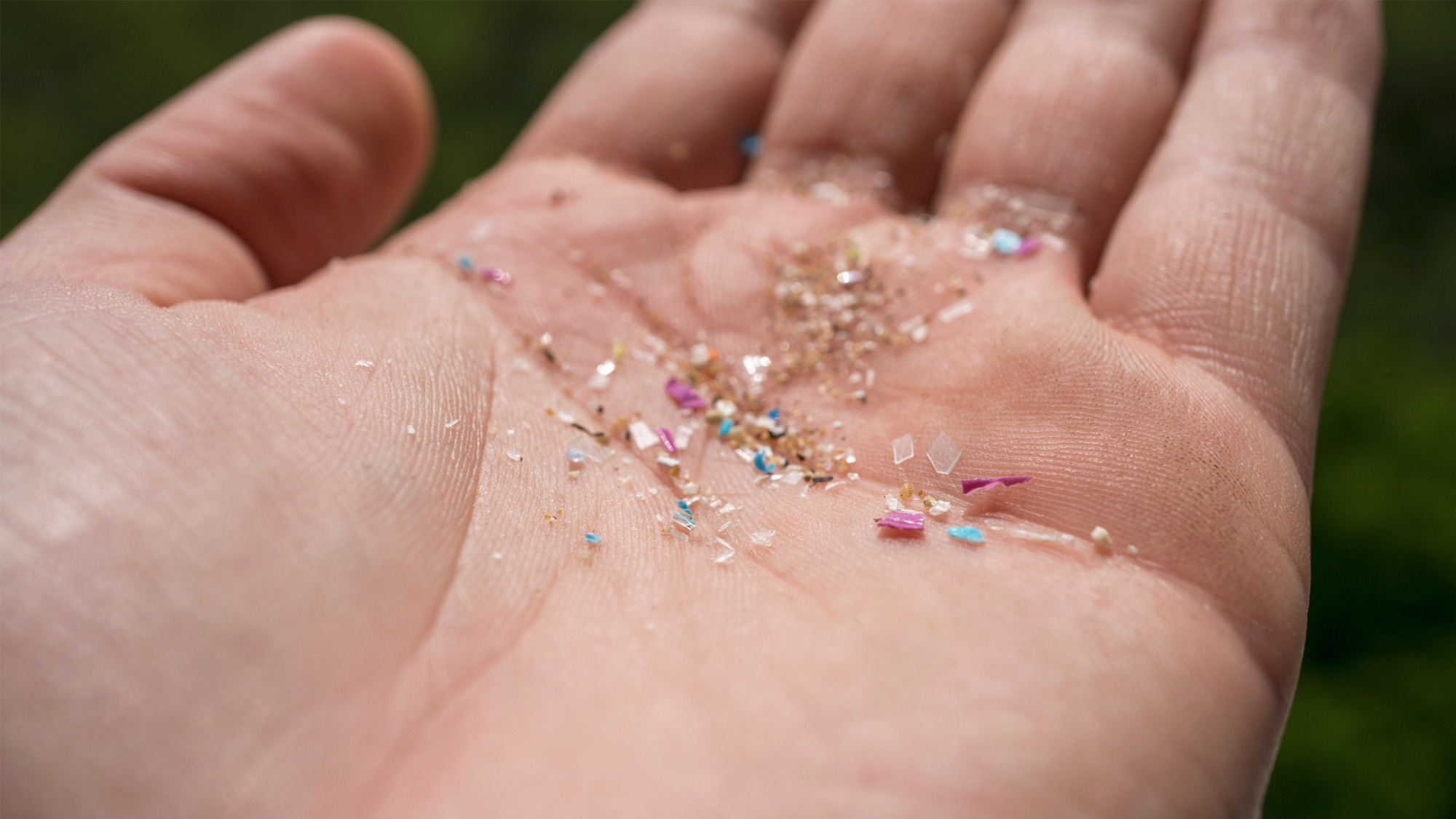 A person holding microplastics gathered from the ocean in his hand.