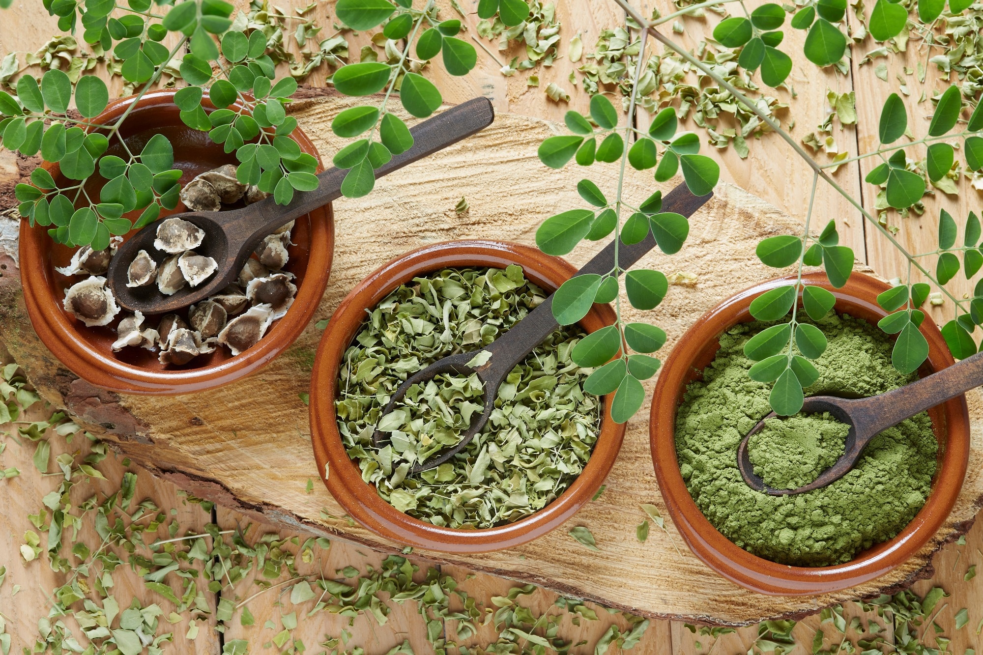 Forms of Moringa Image Credit: Olga Rincon Castellanos / Shutterstock.com