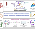 In silico development of a multi-epitope vaccine for Pseudomonas aeruginosa
