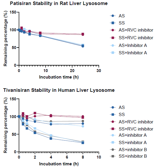How oligonucleotide drugs withstand lysosomal nuclease activity