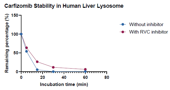 How oligonucleotide drugs withstand lysosomal nuclease activity