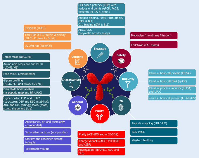 Building a comprehensive analytical toolbox for mAb CQA assessment