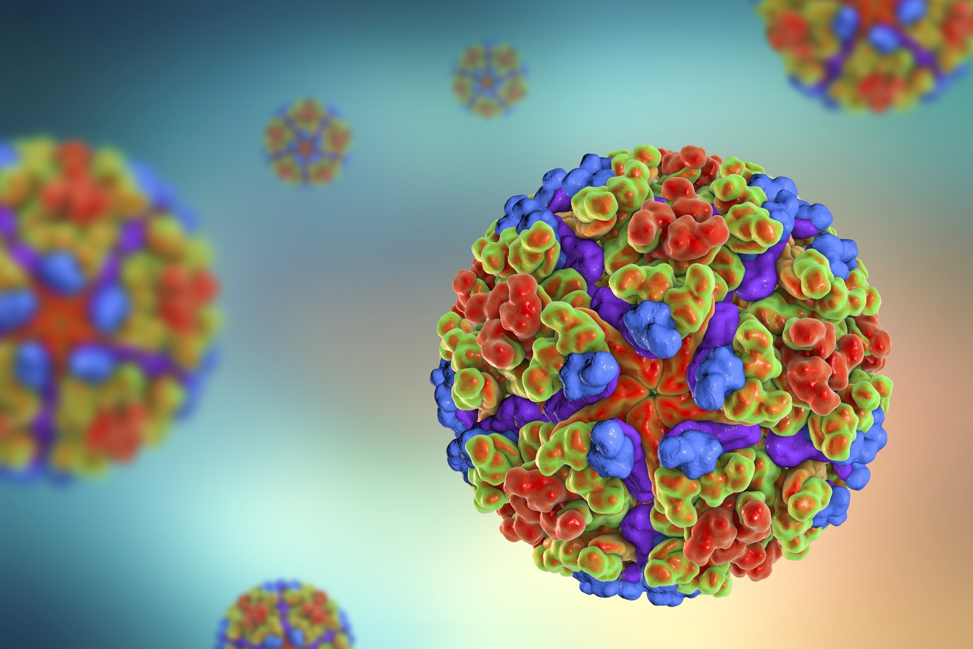 Chikungunya virus, 3D illustration. Image Credit: Kateryna Kon / Shutterstock