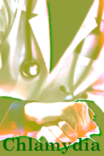 While young women are being targeted in the bid to curb the spread of Chlamydia in primary care, young men are all too frequently being ignored, suggests a small study of practice nurses in Sexually Transmitted Infections.