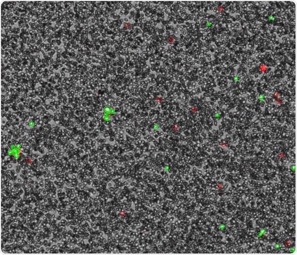 How to skip blood purification procedures