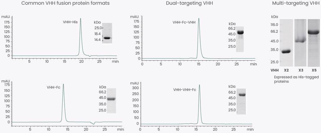Expression of Various VHH Formats.