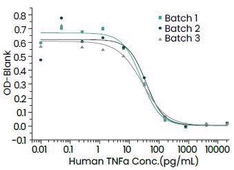 Batch-to-batch Consistency.