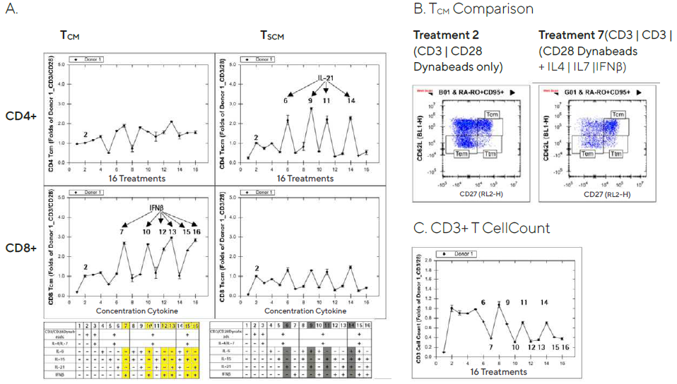 Increased T memory cell frequency after ex vivo expansion in cytokine supplemented media