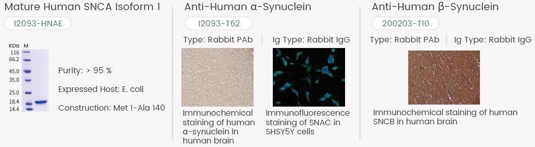 Discovering new drug targets for neurodegenerative diseases