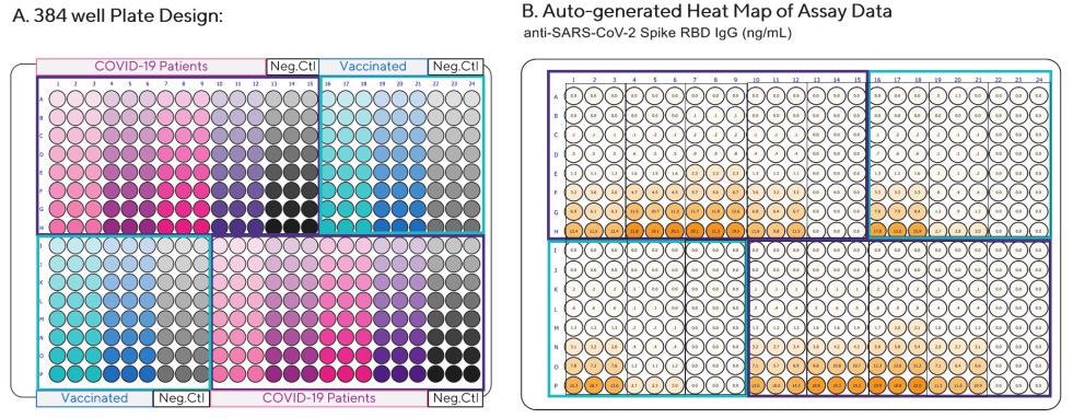Analysis of anti-SARS-CoV-2 Spike RBD IgG, IgM, and IgA antibodies in serum from recovered COVID-19 patients or individuals vaccinated with the BNT162b2 (Pfizer-BioNTech) vaccine. Serum samples were diluted 1:100 in Assay Diluent and then serially diluted 1:3 in triplicate. Serum collected from two COVID-19 negative individuals were included as negative controls (Neg. Ctl). Each color represents triplicate dilution curves which were repeated in different quadrants of plate. (A) Plate layout (B) Heat Map of anti-SARS-CoV-2  Spike RBD IgG concentrations per well (ng/mL).