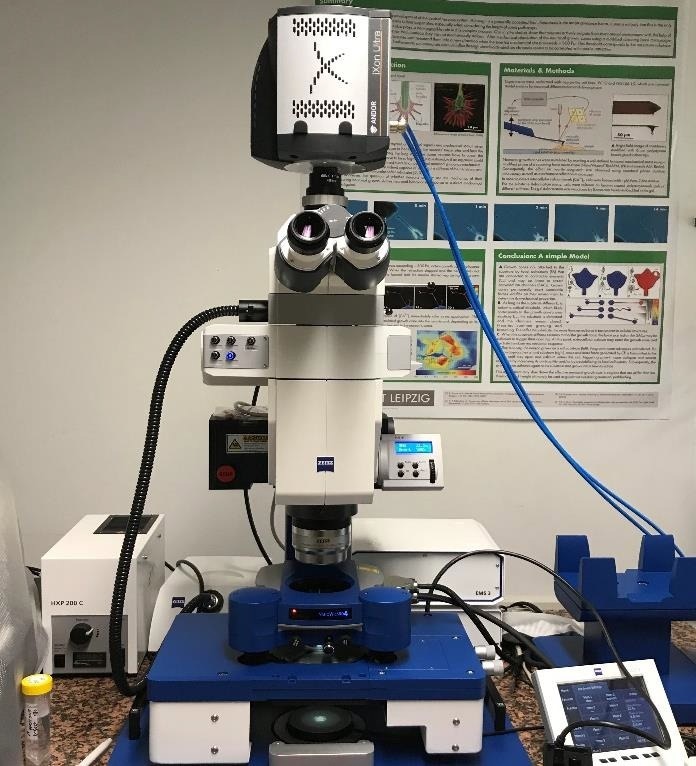The role of molecular interactions in cell differentiation and cancer invasion