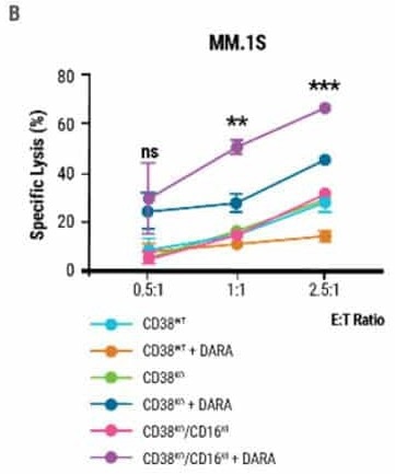 NK cell engineering with MaxCyte®