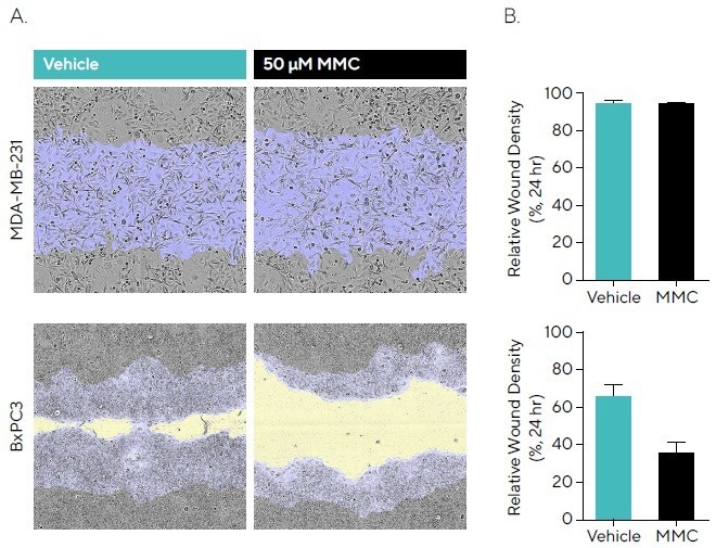 Quantifying cell migration in real-time