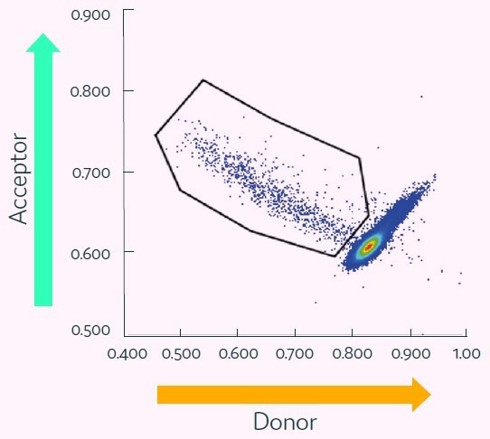 Introducing a high-throughput method for identifying rare cells from B cell repertoires and hybridoma fusions