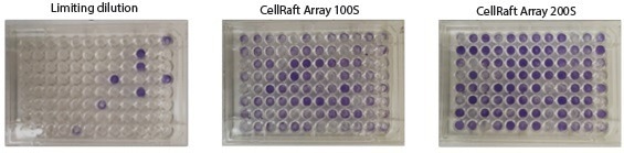 Overcoming the challenges of limiting dilution