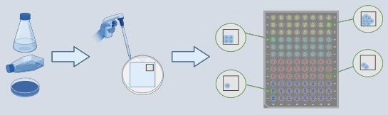 How to accelerate the use of iPSCs in drug development