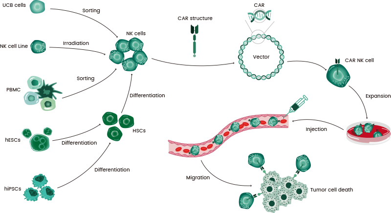 CAR-NK: The next generation in Hematological Malignancy Treatment has context menu Compose