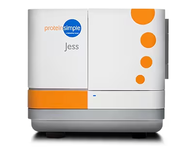 Adeno-associated virus characterization