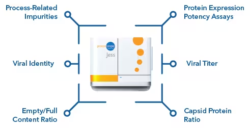 Adeno-associated virus characterization