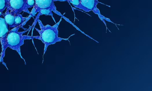 Adeno-associated virus characterization