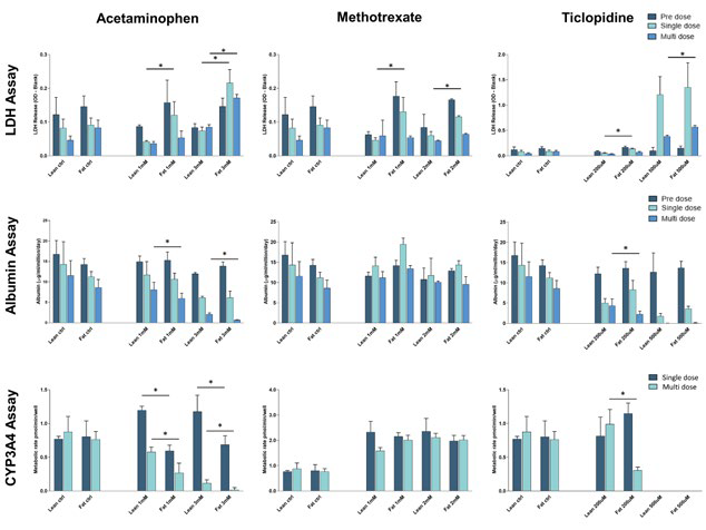 Fat loading of hepatocytes increases susceptibility to DILI by acetaminophen and ticlopidine.