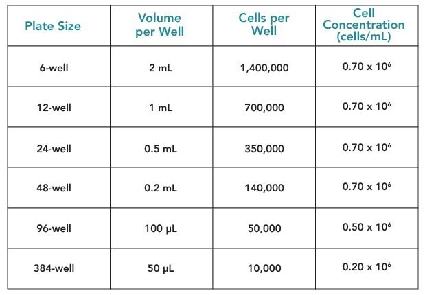 Successful hepatocyte handling: What do you need to know?