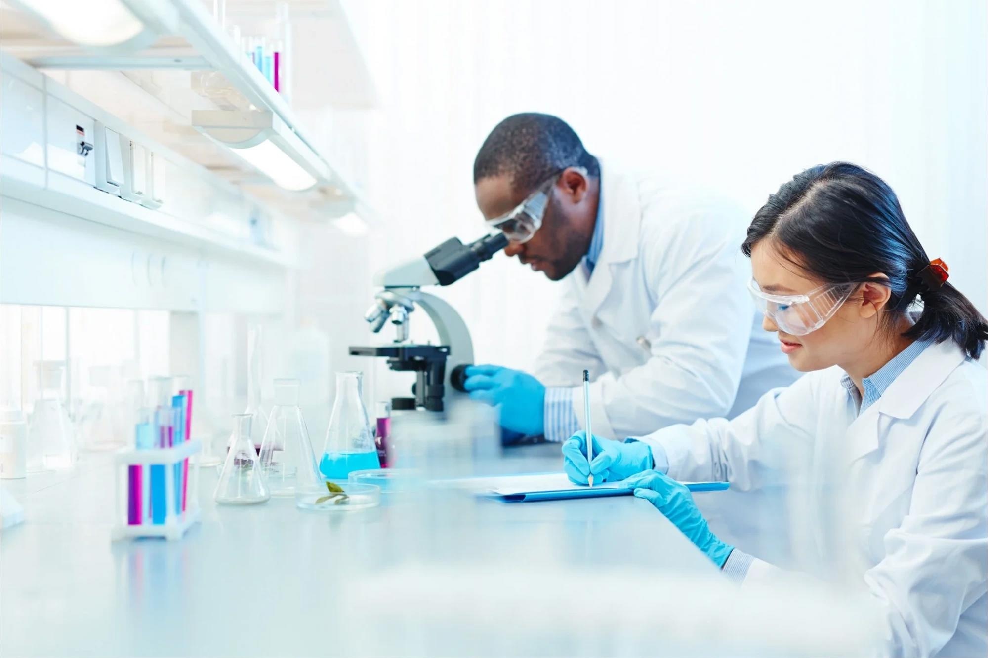 The role of cell-based assays for drug discovery