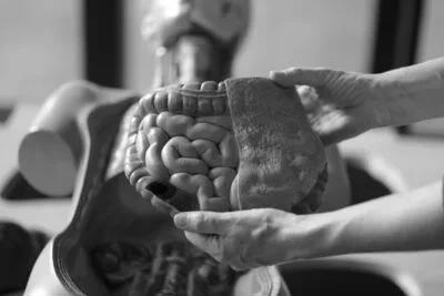 Exploring the science of the gut microbiome