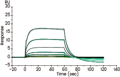 Captured Human FcγRIIIA / CD16a (F176) recombinant protein (Cat. 10389-H08H) on Anti-His Chip can bind Human IgG Fc (Cat. 10702-HNAC) with an affinity constant of 7.1 μM as determined in an SPR assay (Biacore T200).