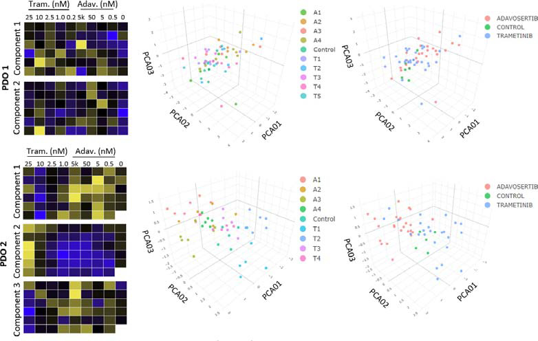 Heat maps and principal component analysis (PCA). For Donor 1 (PDO 1), 2 components are shown, which show limited clustering within or between drug concentrations. Donor 2, however, had clear clustering in components 1, 2, and 3, within each drug compared to controls.