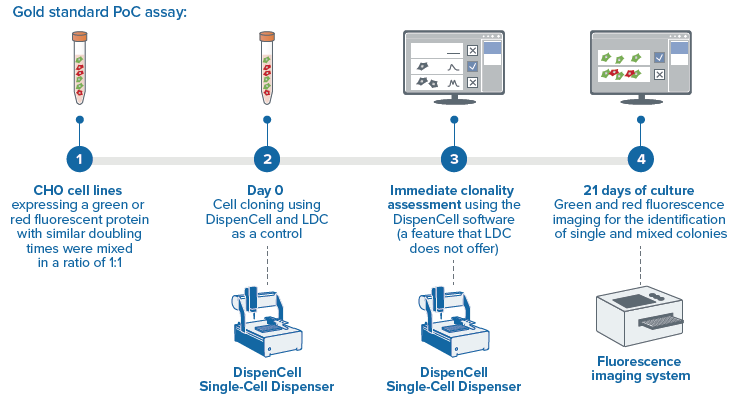 Experimental design of the PoC assay