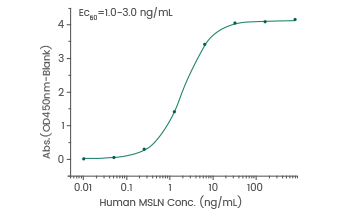 Binding assay: Immobilized anti-MSLN antibody can bind human MSLN/Mesothelin protein.