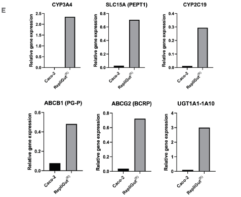 RepliGut primary model of the intestine is more human relevant compared to the standard Caco-2 cell line model
