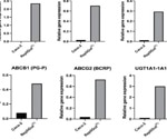 Exploring a human multi-organ microphysiological system for preclinical oral bioavailability profiling