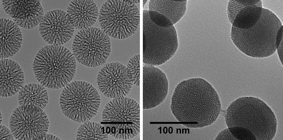 What are the drug delivery applications of nanoparticles?