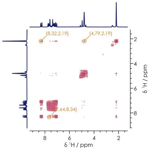 Two dimensional 1H-1H COSY NMR spectrum.