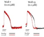 Advanced Cardiotoxicity Testing Using Multi-Channel iPSC Cardiomyocytes