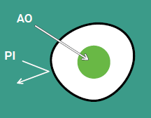 Selecting the right viability assay