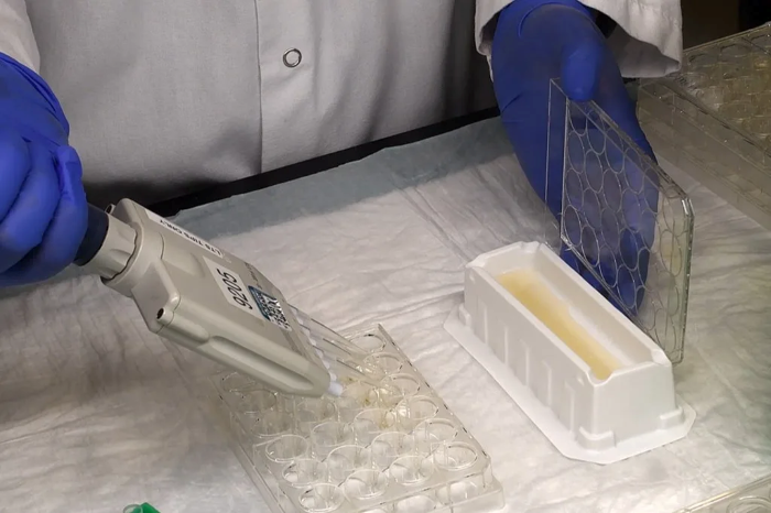 Optimizing hepatocyte suspension incubations for reliable ADMET/DMPK data