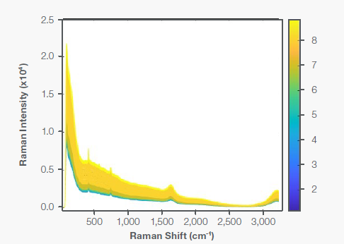 Raman spectra of cultivated meat bioreactor run; color-coded by days. The baseline increased with the days’ progress primarily due to cell density increase and background fluorescence
